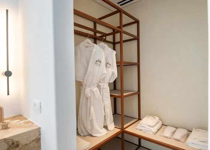 Muse οf Mykonos Luxury Hotell *