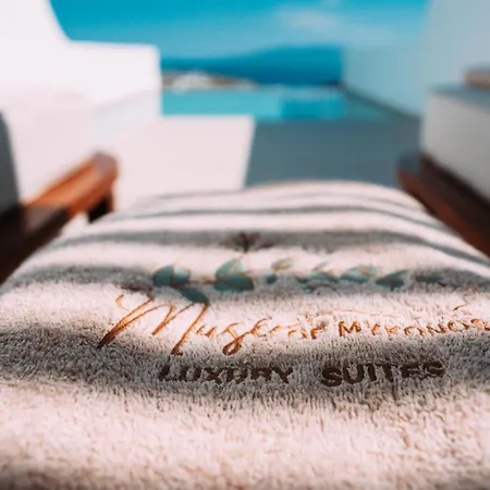 Muse Of Mykonos Luxury Otel