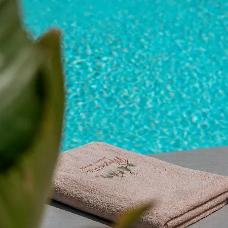 Muse Of Mykonos Luxury Plintri