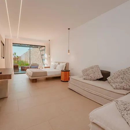 فندق Muse οf Mykonos Luxury Plintri