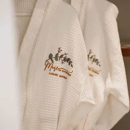 Muse Of Mykonos Luxury Plintri