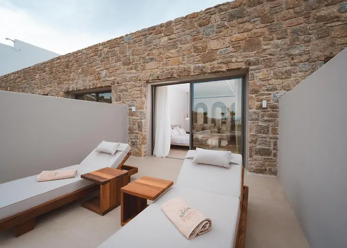 Hotel Muse Of Mykonos Luxury *