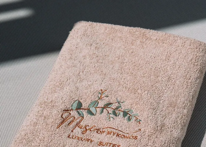 Muse Of Mykonos Luxury Hotel *