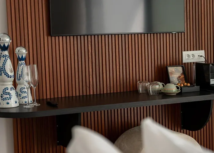 Hotel Muse Of Mykonos Luxury *