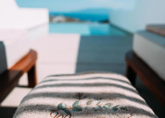 Muse Of Mykonos Luxury Hotel Plintri