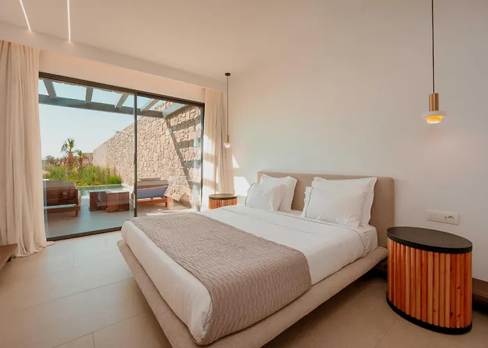 Muse οf Mykonos Luxury Hotel Plintri