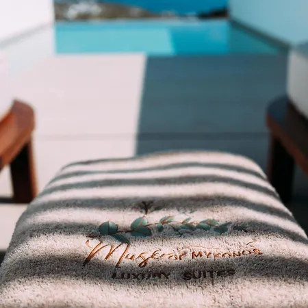 Muse Of Mykonos Luxury